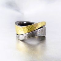 2 teiliger Ring in geschw&auml;rztem Silber 925/-, 1 Ring mit einer massiven Bel&ouml;tung in Gold 750/-, &euro; 600.-